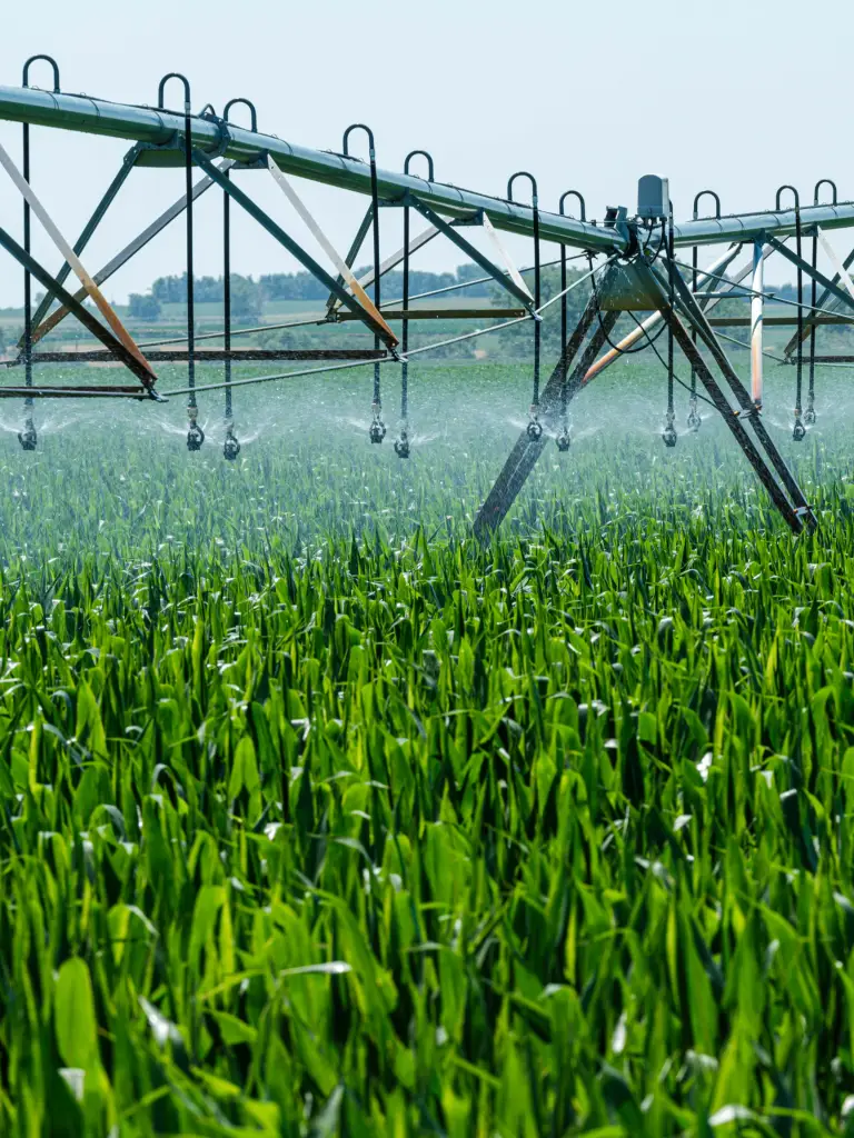 Agriculture